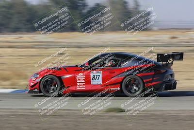 media/Nov-11-2023-GTA Finals Buttonwillow (Sat) [[117180e161]]/Group 2/Close Ups/